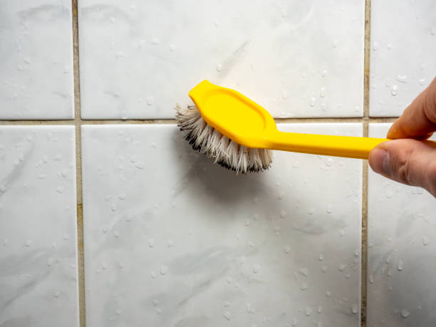 Best Preventive Mold Services in Rockwood, VA